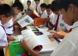 La educación escolar está en peligro